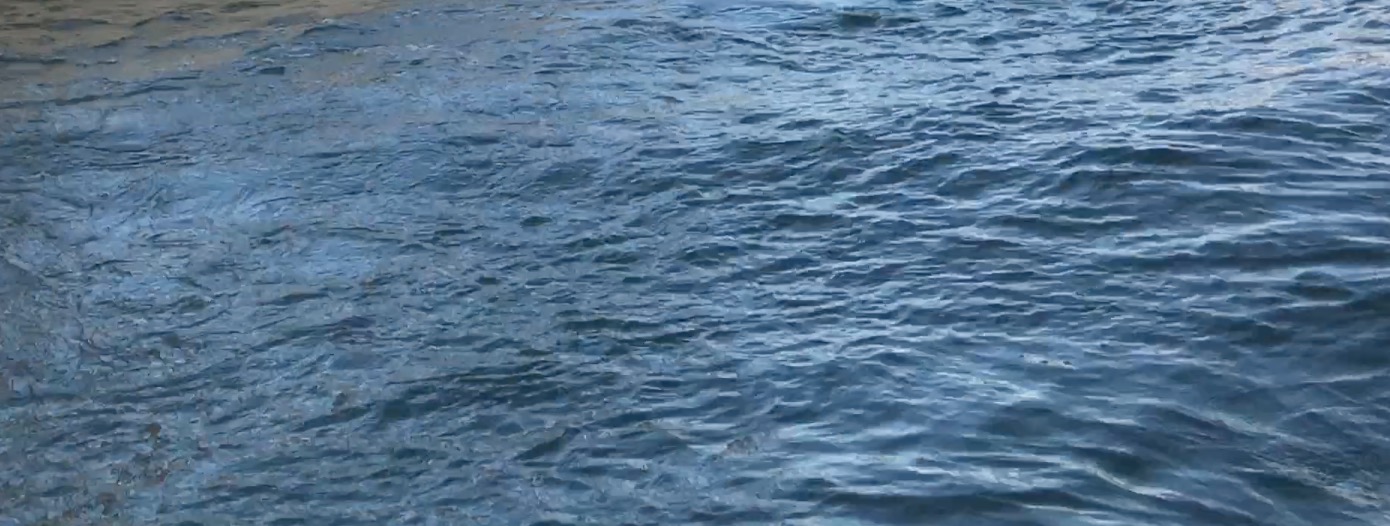 Aave Studio Architecture Venezia Venice